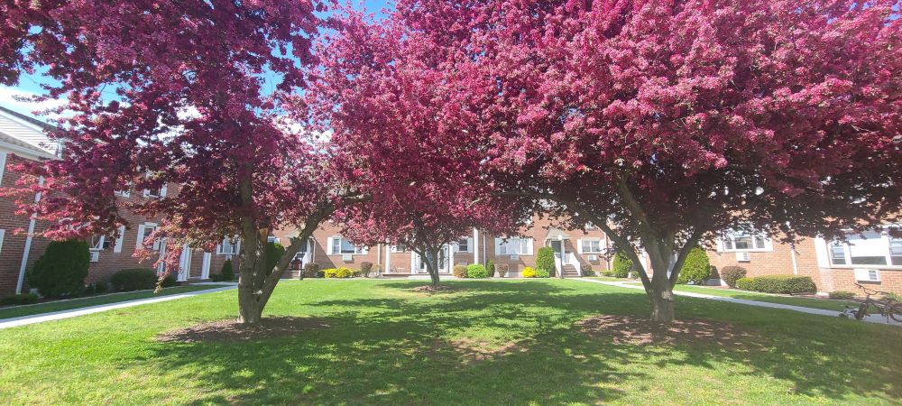 Colonial Village photo 3